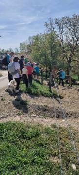 PGD Sevnica - aktivnsoti v 2024, foto PGD Sevnica (8)